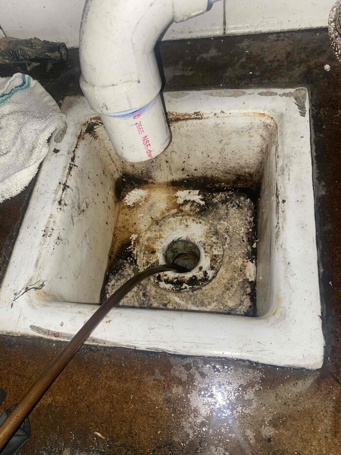 DAHLIA San Diego | Zoom Drain of San Diego