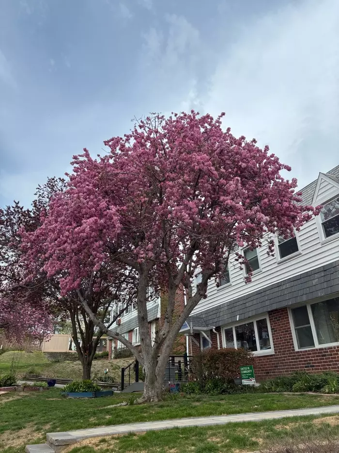 Service Areas - Rick's Certified Arborists