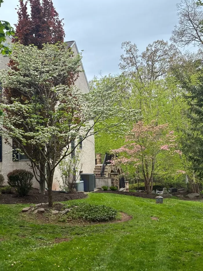 Are Your Plants Safe from Pear Trellis Rust in West Chester, PA